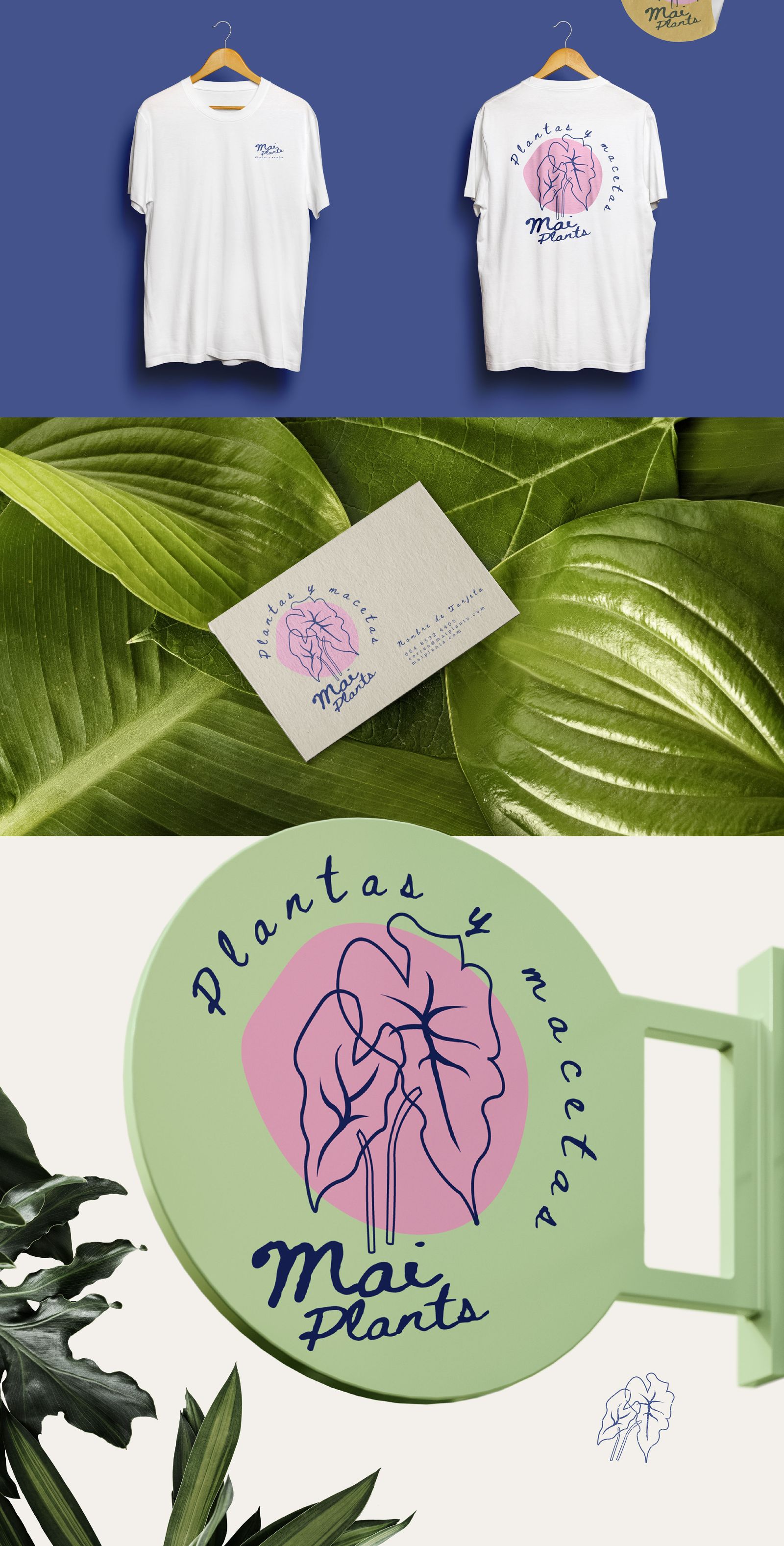 Mai Plants