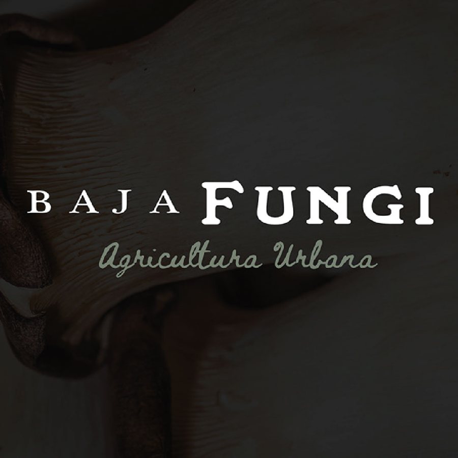 Baja Fungi · <span lang=