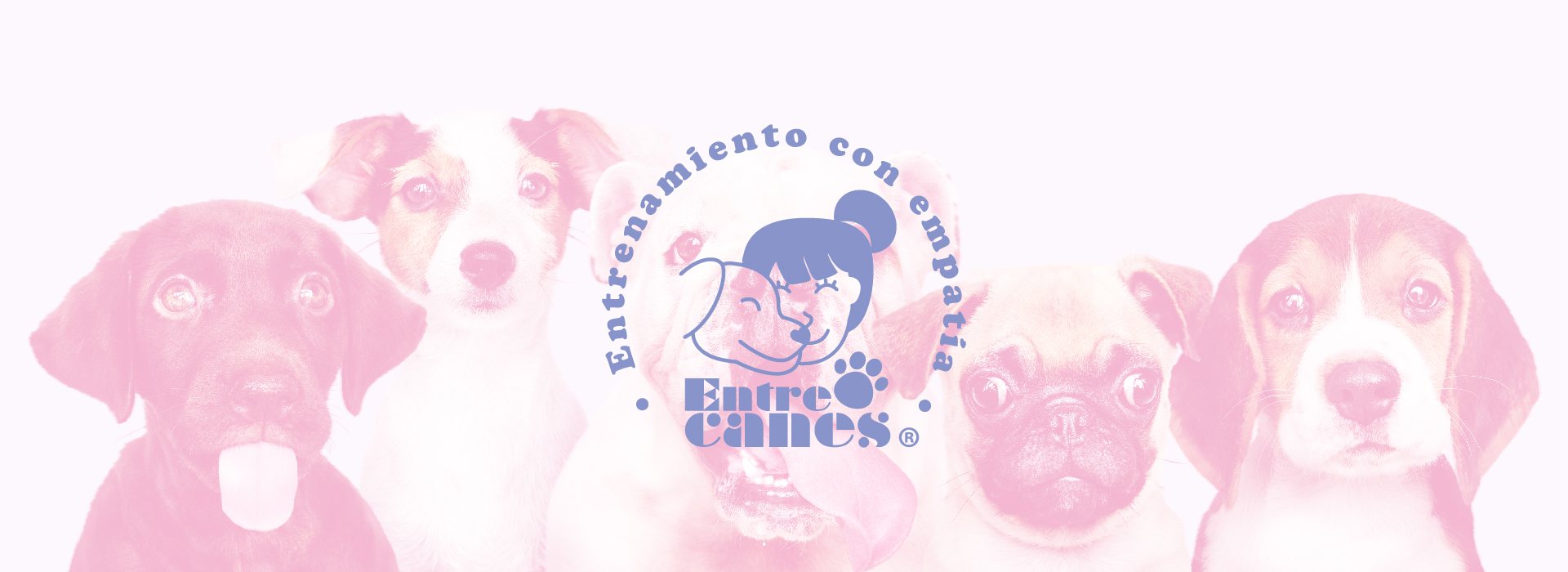 EntreCanes