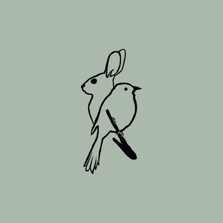 Ilustración de conejo y pájaro