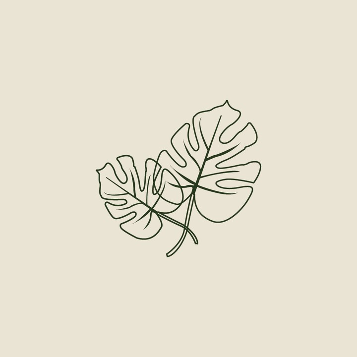Ilustración de hojas de monstera
