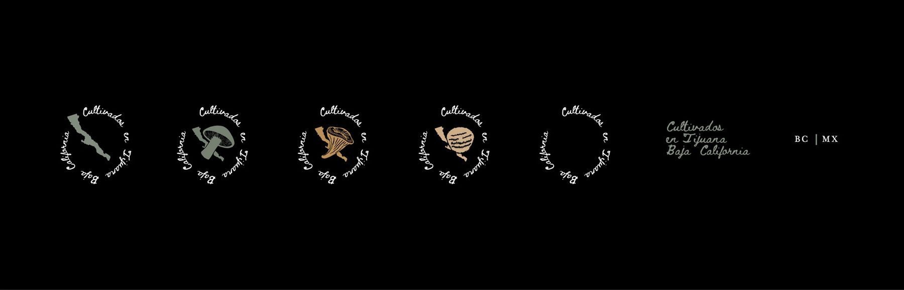 Baja Fungi · Dirección 1