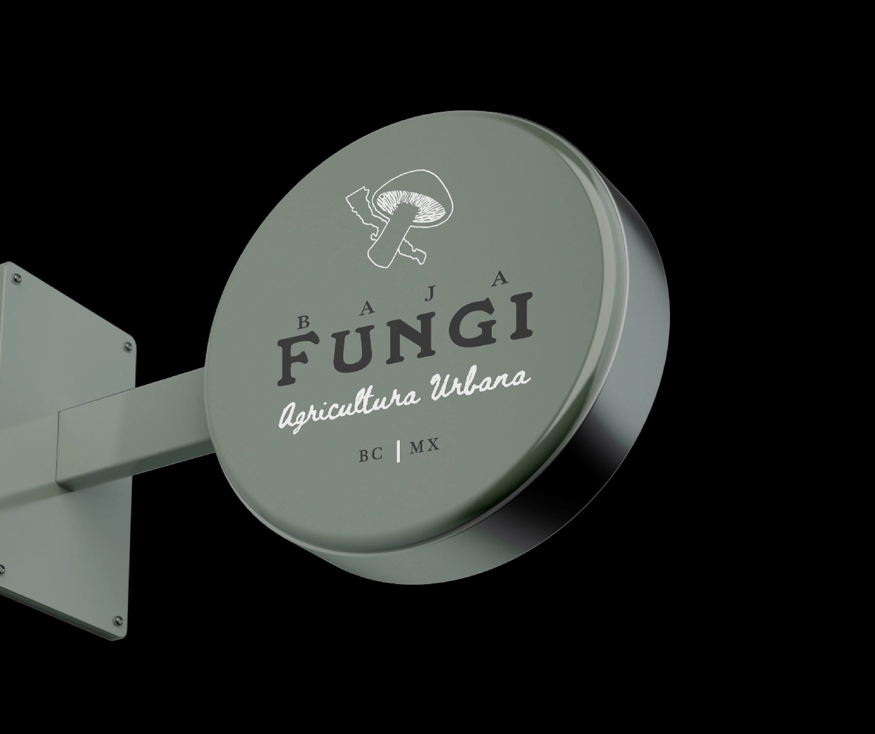 Baja Fungi · Dirección 1
